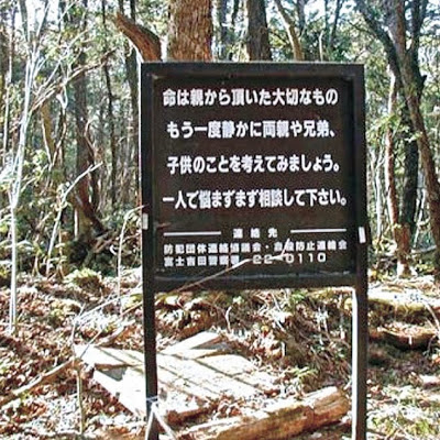 日本自殺勝地青木原