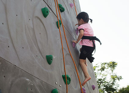 Wall Climbing