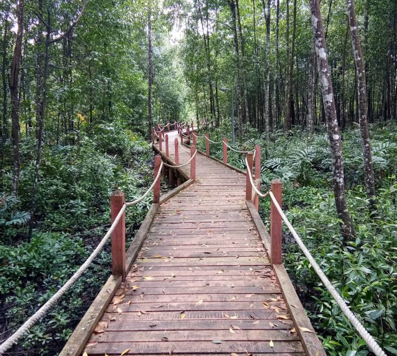 The Mangrove Forest 马登红树林公园~ 图片来源：Instagram via@emm18_1992